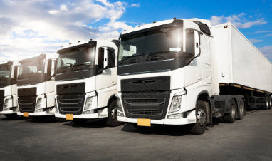 LKW Ankauf Petershagen